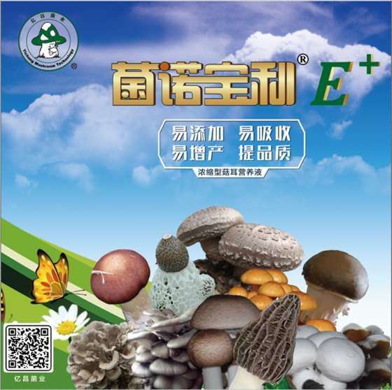 菌诺宝利E+：网页小图-3.PNG