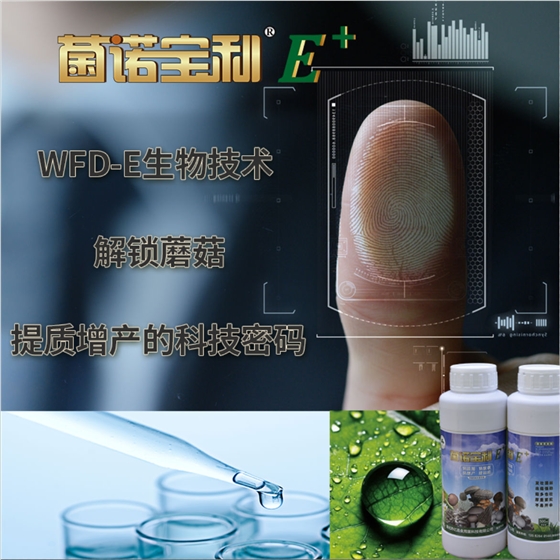 菌诺宝利E+：WFD-E生物技术，解锁蘑菇提质增产的科技密码