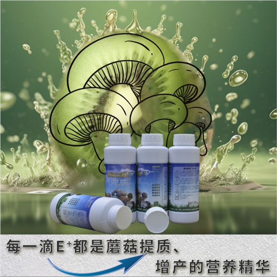 菌诺宝利E+（网页-11）每一滴E+都是蘑菇长大、长厚的营养精华