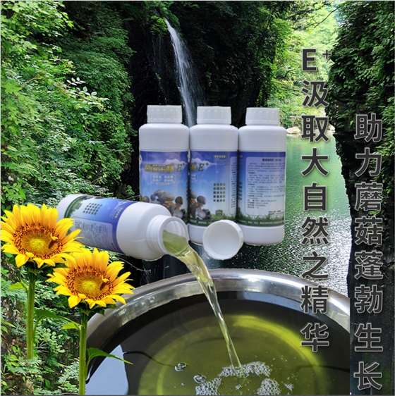 菌诺宝利E+（网页-12）E+汲取大自然之精华，助力蘑菇蓬勃生长