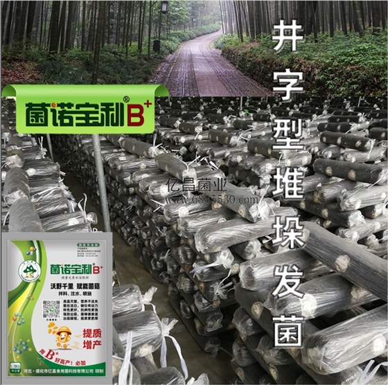 亿昌菌业-菌诺宝利B+（网页-13）井字形堆垛发菌