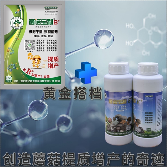 亿昌菌业-菌诺宝利E+（网页-8）黄金搭档，创造蘑菇提质增产的奇迹