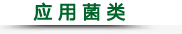 应用菌类.png
