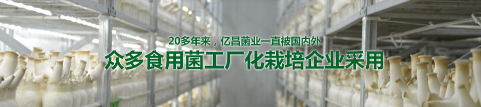 20多年来，亿昌菌业一直被国内外众多食用菌工厂化栽培企业采用